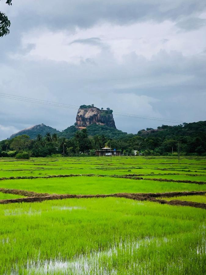 Sigiri Lion Eco Palace Sigiriya Eksteriør billede