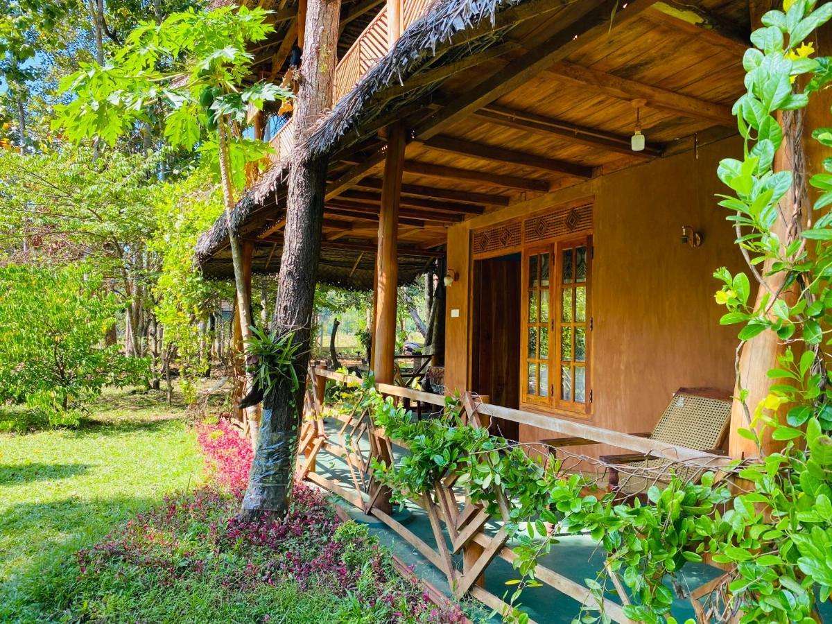 Sigiri Lion Eco Palace Sigiriya Eksteriør billede