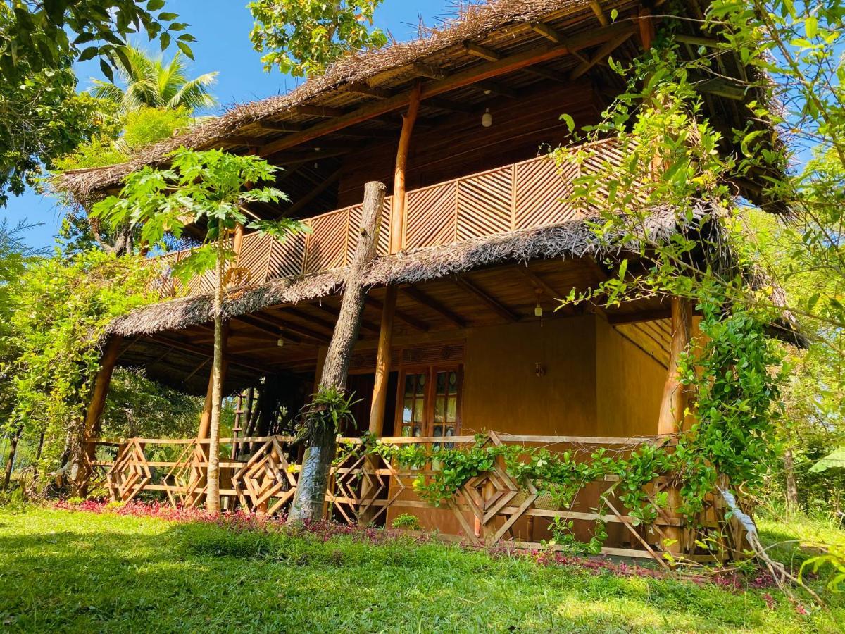Sigiri Lion Eco Palace Sigiriya Eksteriør billede