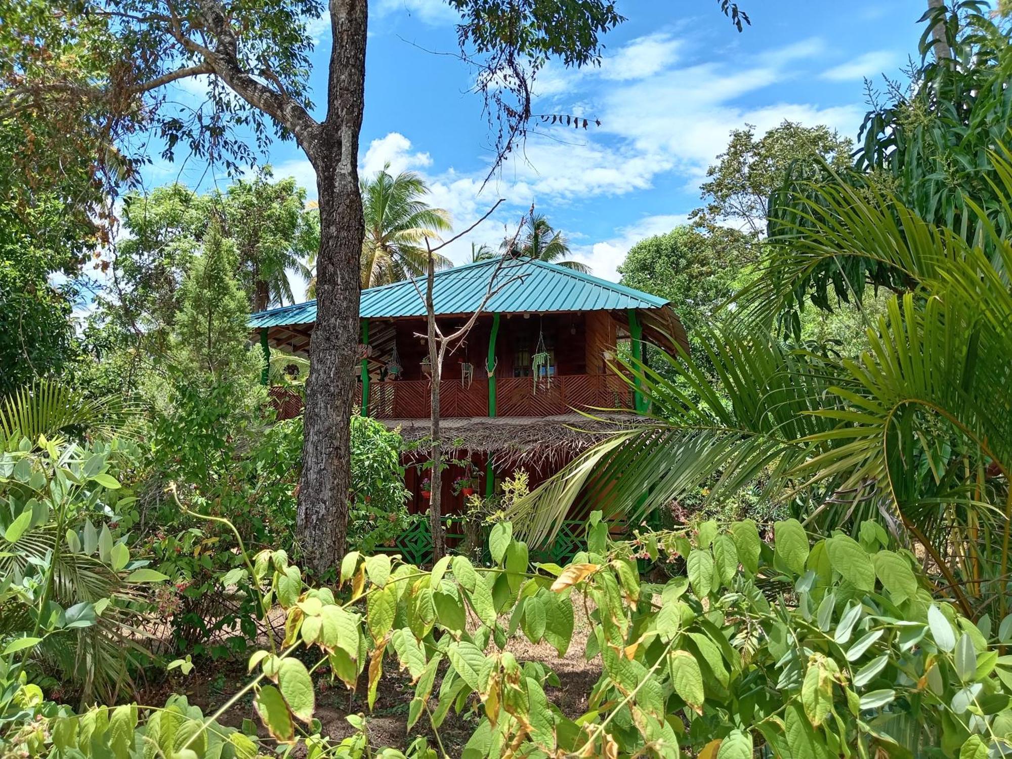 Sigiri Lion Eco Palace Sigiriya Eksteriør billede