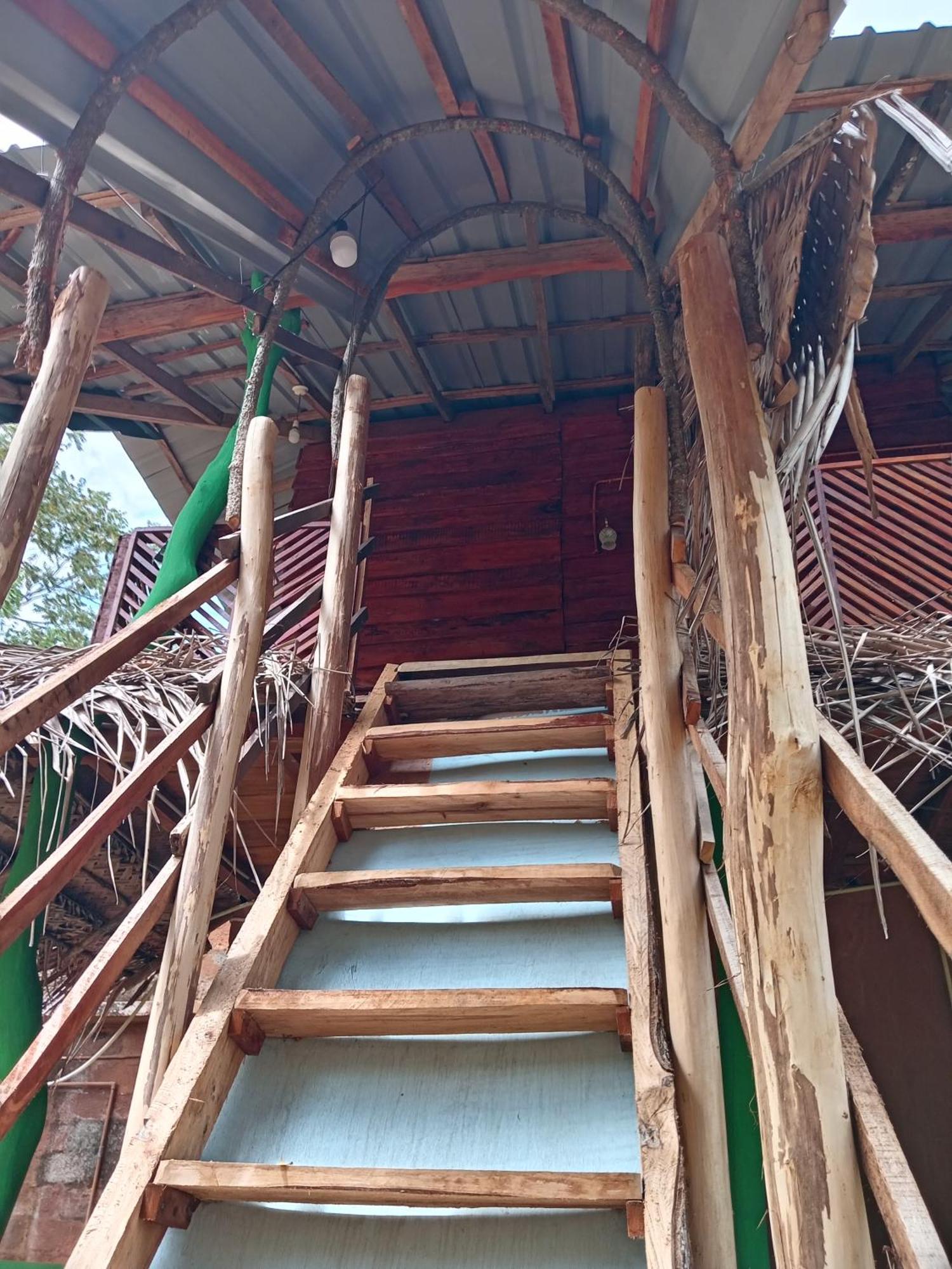 Sigiri Lion Eco Palace Sigiriya Eksteriør billede