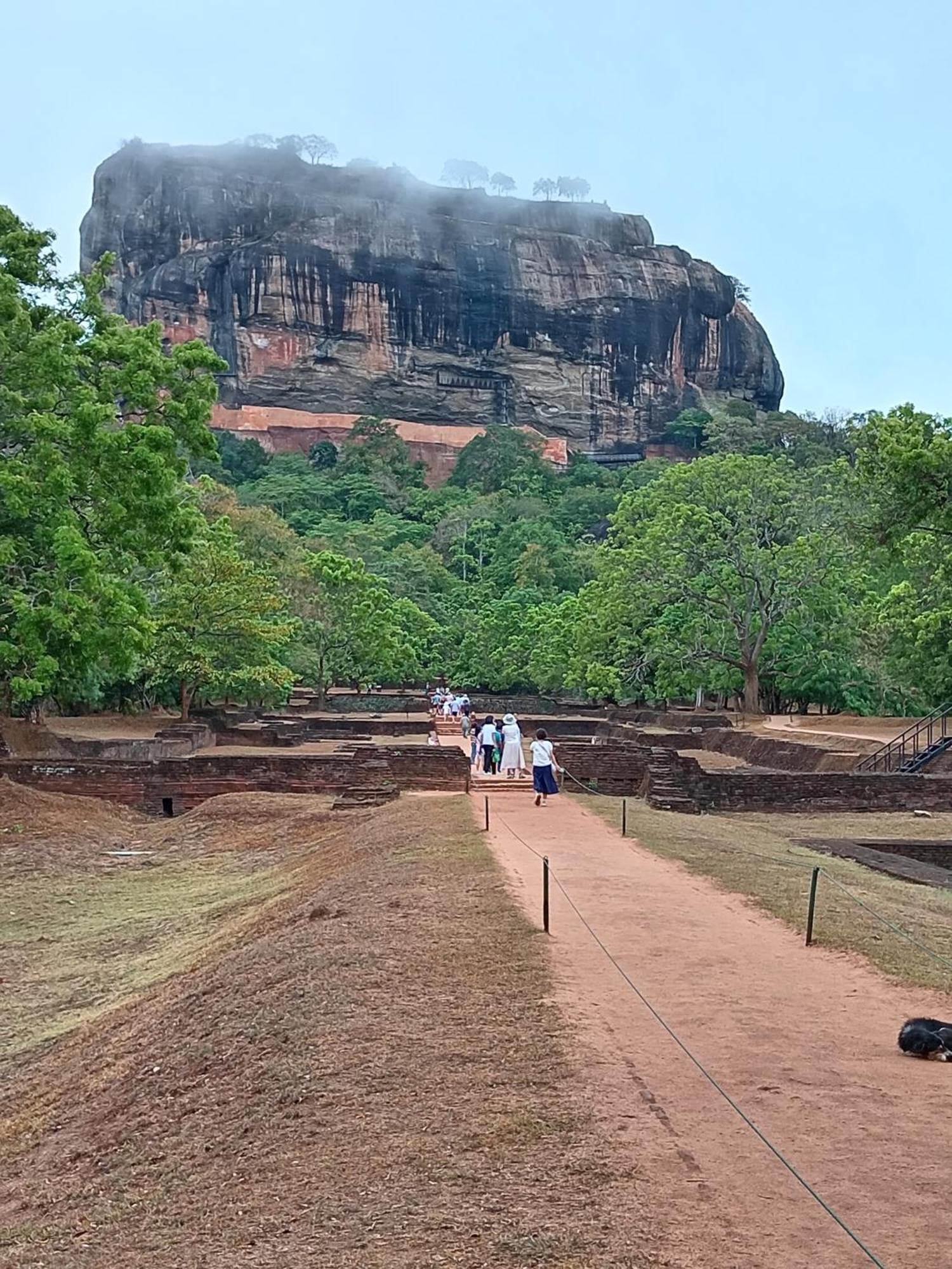 Sigiri Lion Eco Palace Sigiriya Eksteriør billede